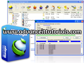 Enable resume capability internet download manager